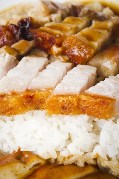 stock image Roasted pork rice