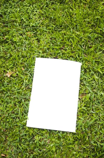 Blank white flyer — Stock Photo, Image