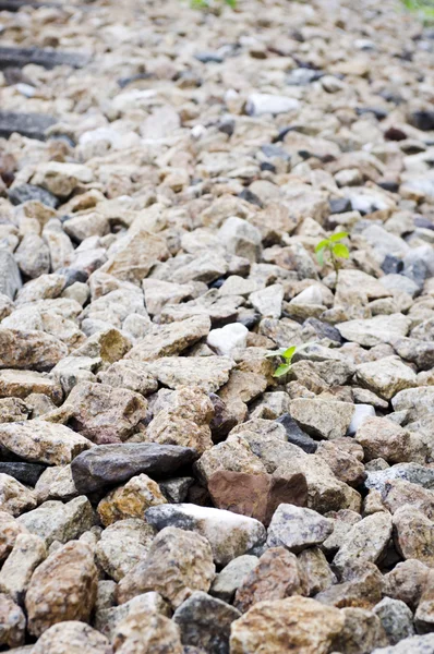 stock image Track ballast