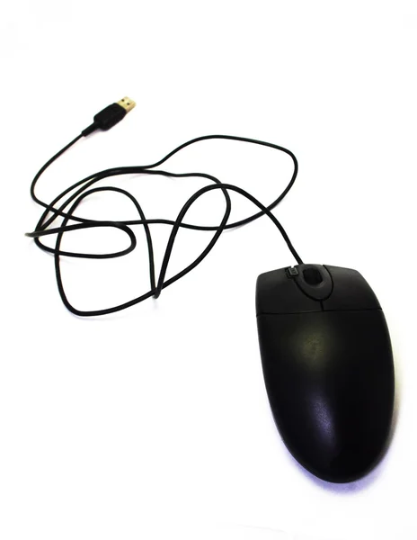 Mysz na białym tle komputera — Zdjęcie stockowe