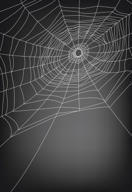 spider web clipart