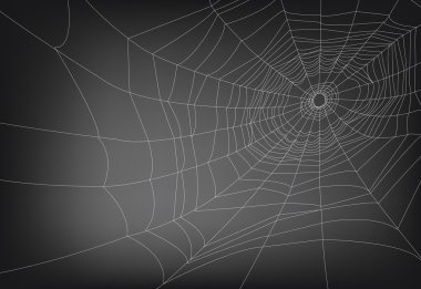 spider web clipart