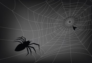 spider web clipart