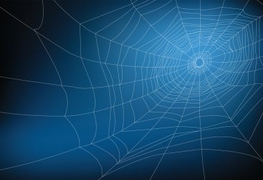 spider web clipart