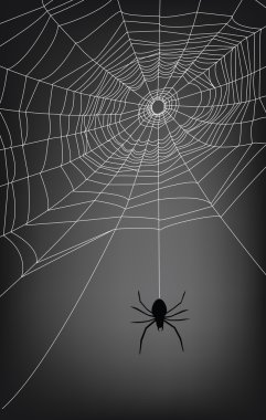 spider web clipart