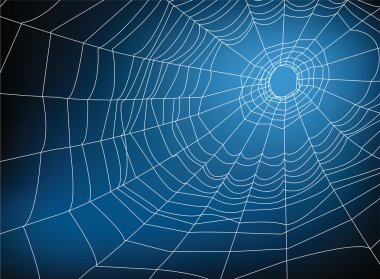 spider web clipart