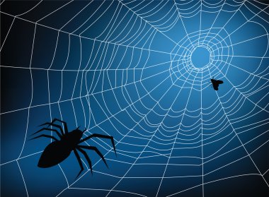 spider web clipart