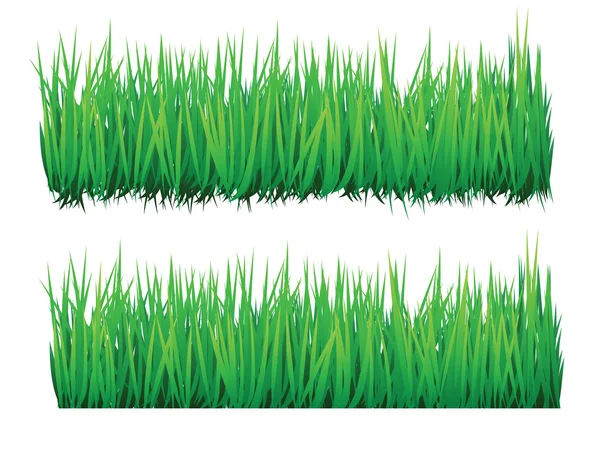 Illustrations vectorielles en herbe — Image vectorielle