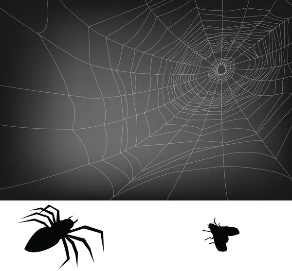 Павутина — стоковий вектор