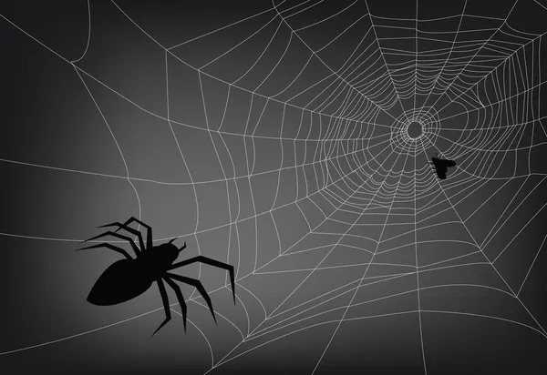 Sieć pajęcza — Wektor stockowy