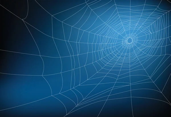 Spinnenweb — Stockvector