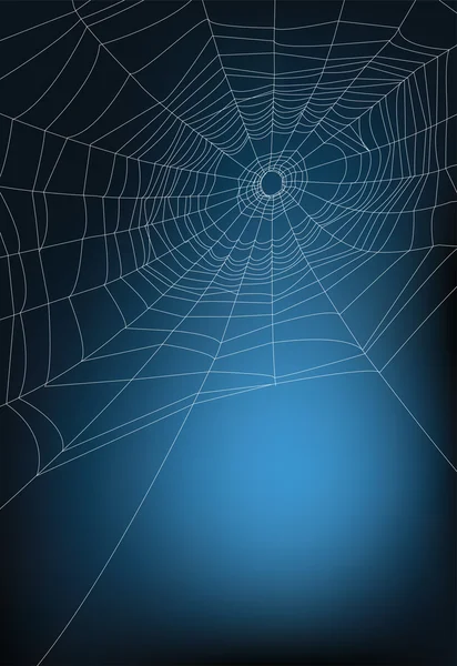Toile d'araignée — Image vectorielle