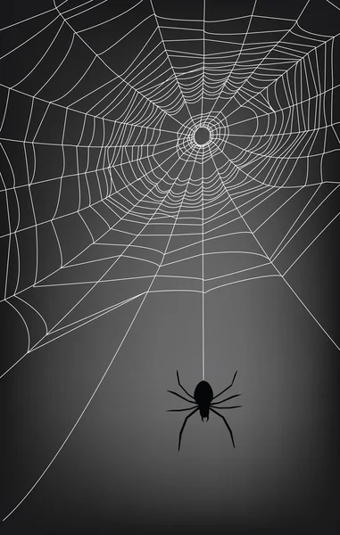 Павутина — стоковий вектор