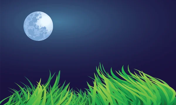 Full moon night — Stock Vector