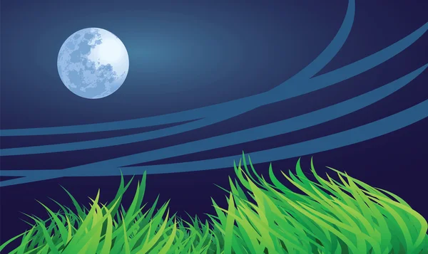 満月の夜 — ストックベクタ