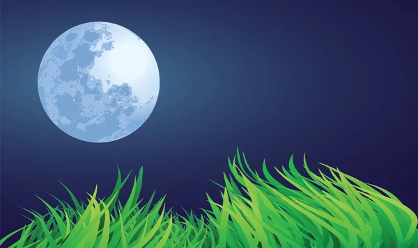 满月之夜 — 图库矢量图片