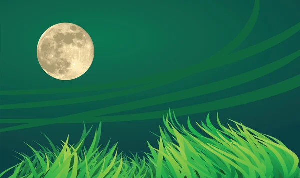 Illustrations nuit pleine lune — Image vectorielle