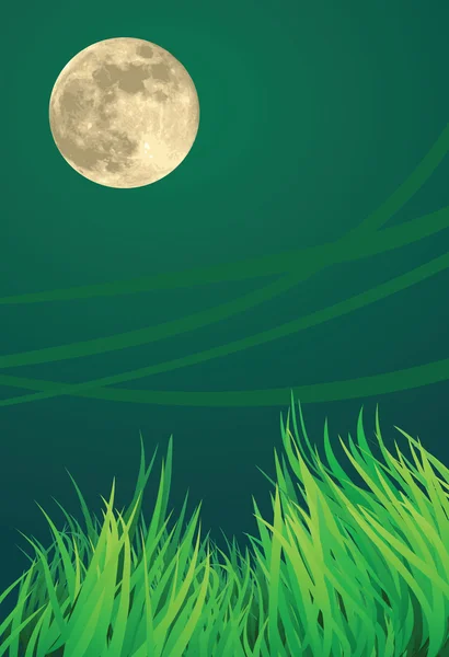 Lua cheia noite ilustração — Vetor de Stock