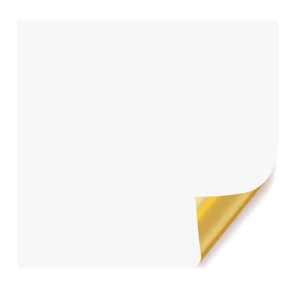 White paper — Stock Vector