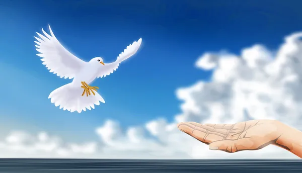 Libertação ou pomba de boas-vindas, como sinal pacífico — Fotografia de Stock