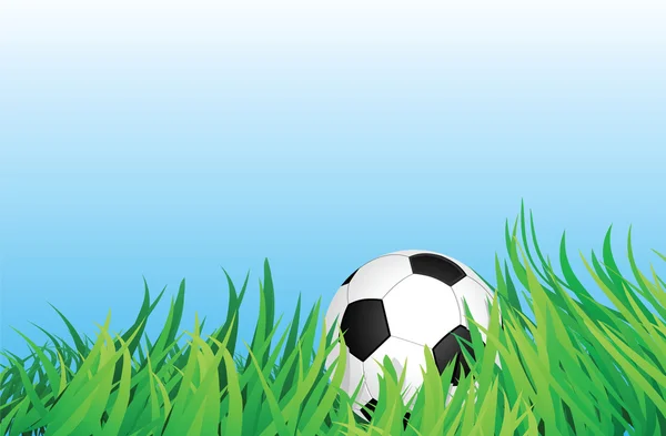 Voetbal op grasveld — Stockvector