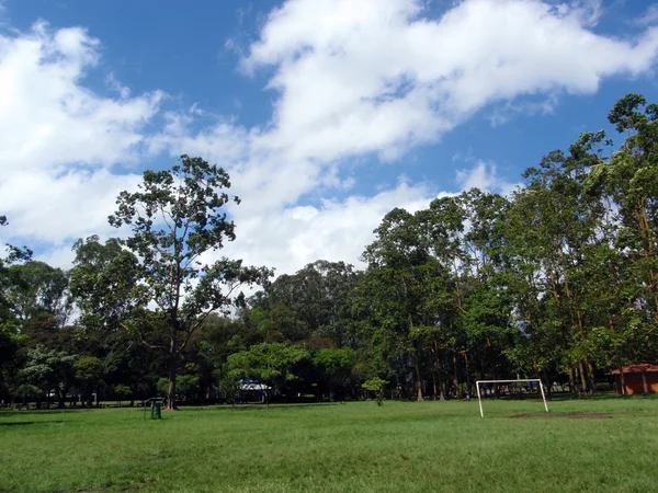 Objetivo do futebol no parque com árvores grandes — Fotografia de Stock