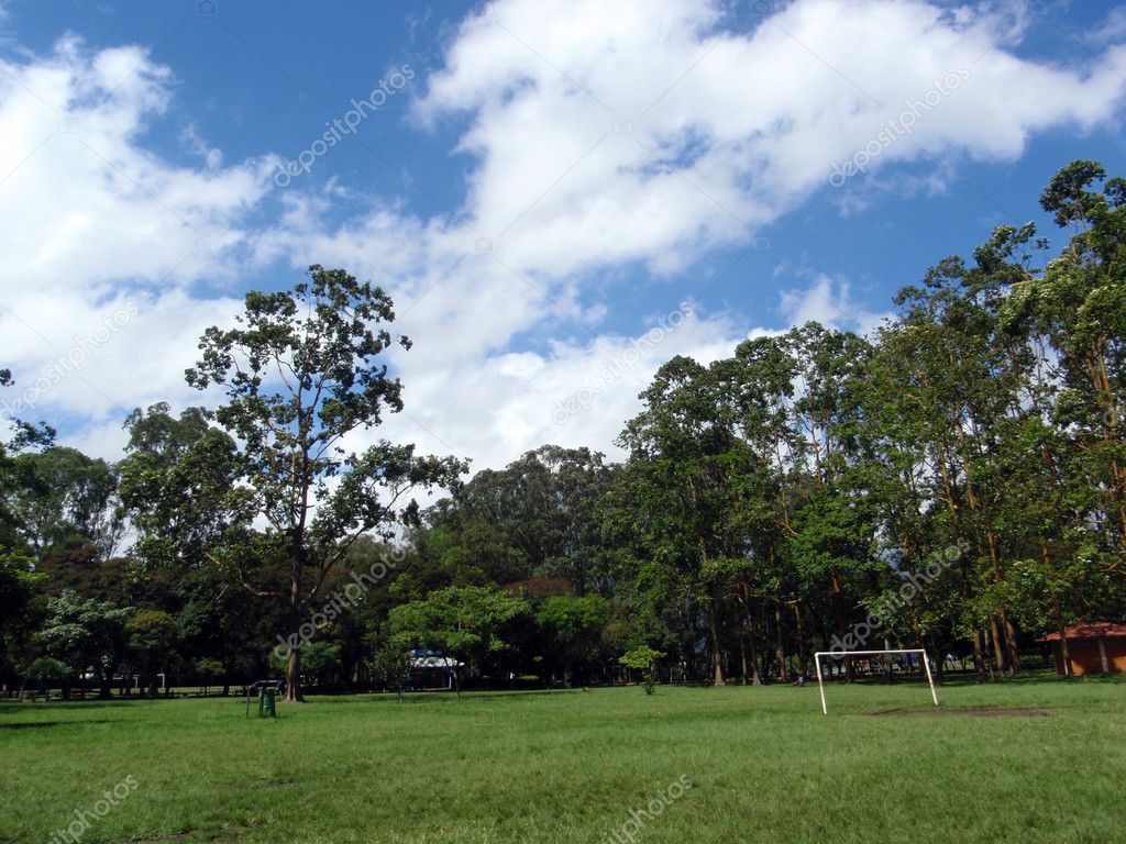 Soccer Goal in Park with large trees