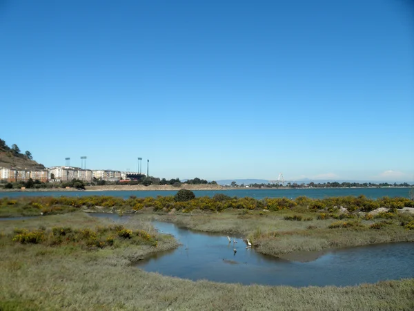 Birds rest in waterway at Candlestick Point — Stock Photo, Image