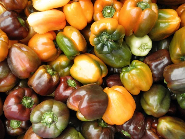 Högen av färgglada paprika på en marknad — Stockfoto