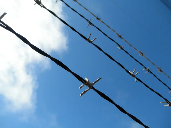Barb wire en blauwe lucht met een wolk — Stockfoto