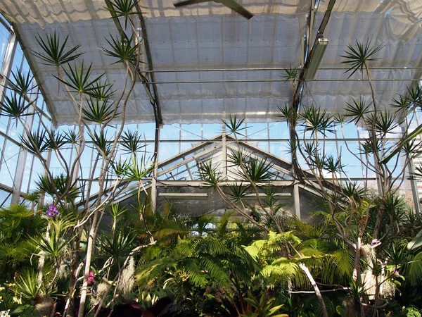 stock image Inside of a Green House