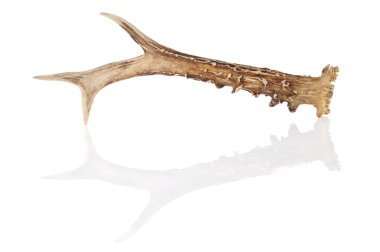 Boynuzlar