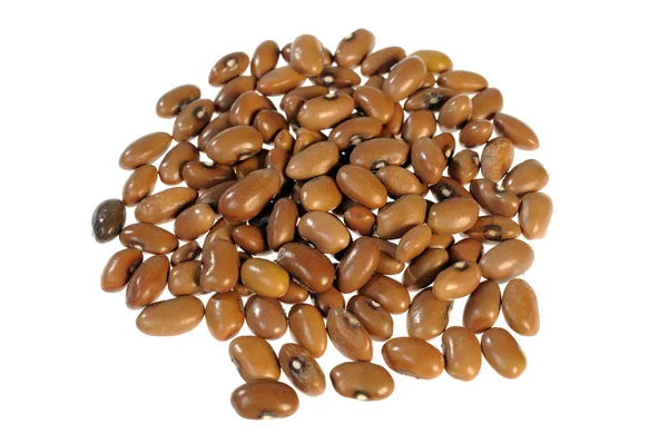 Brown beans — Stock Photo, Image