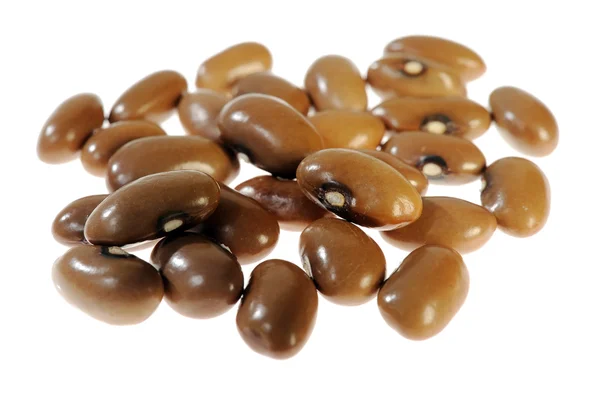 棕色豆 — 图库照片