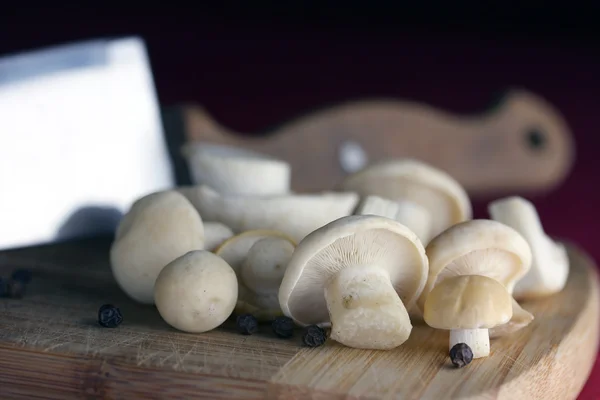 Cogumelos e faca — Fotografia de Stock