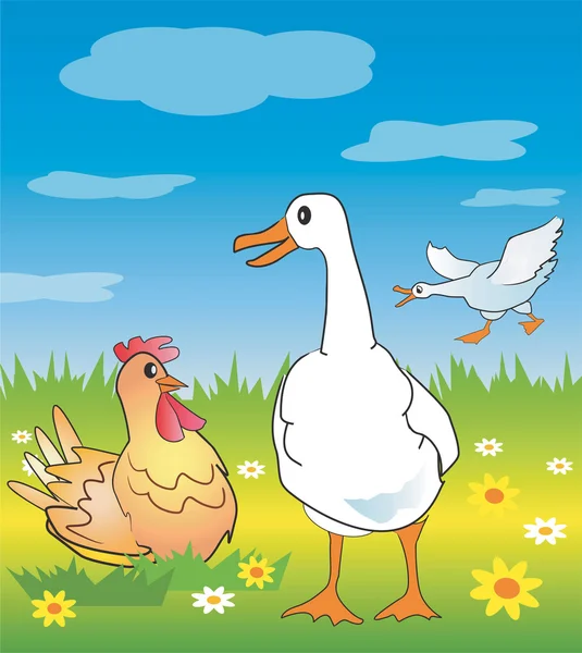 stock vector Goose_chicken