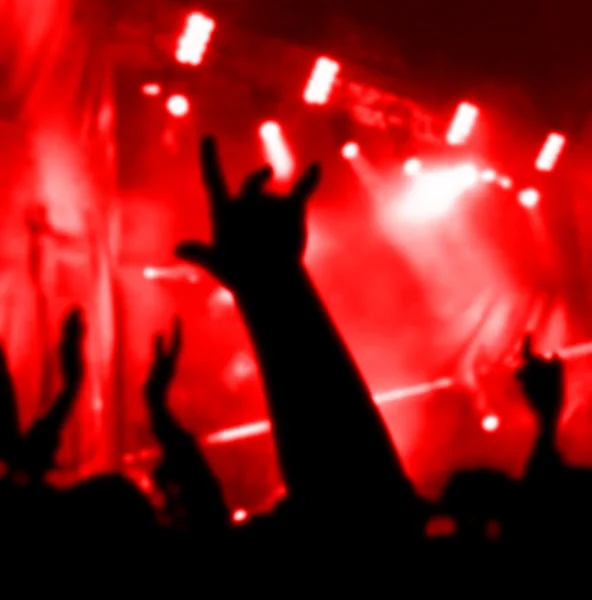 Concert Audience — Stock Photo, Image
