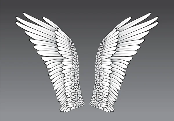 Vleugels (vector) — Stockvector