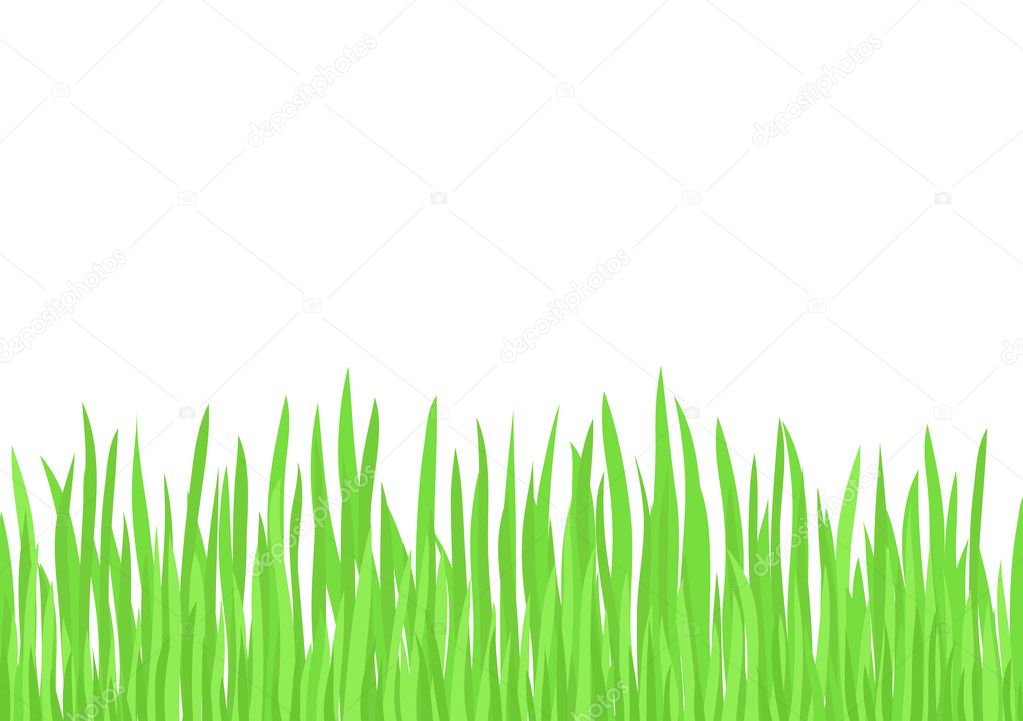 Green Grass (vector)