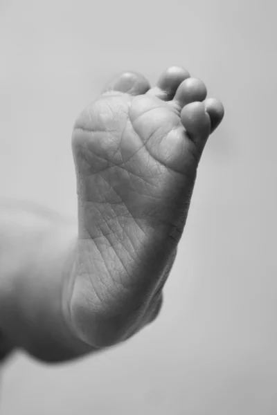 Дитяча нога і пальці ніг — стокове фото