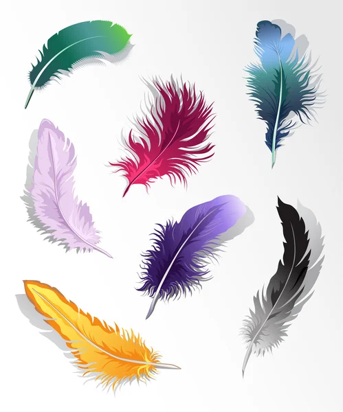 stock vector Multicolored feather’s set