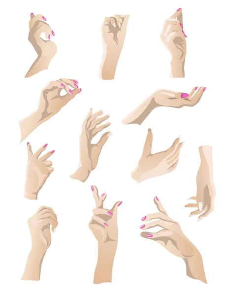 Jeu de mains 1 — Image vectorielle