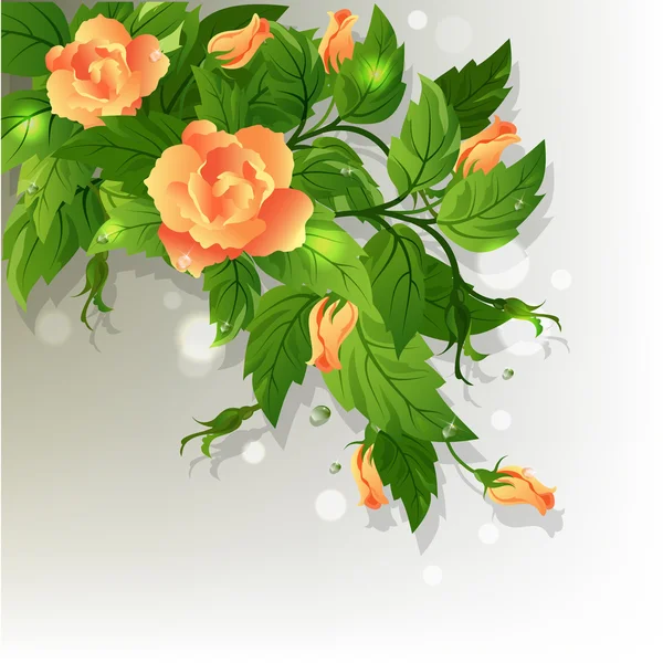 Roses fond — Image vectorielle