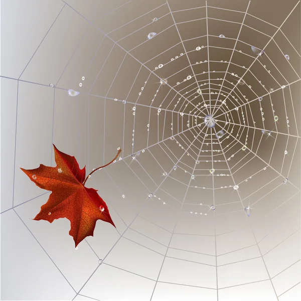 Spider web hösten bakgrund — Stock vektor