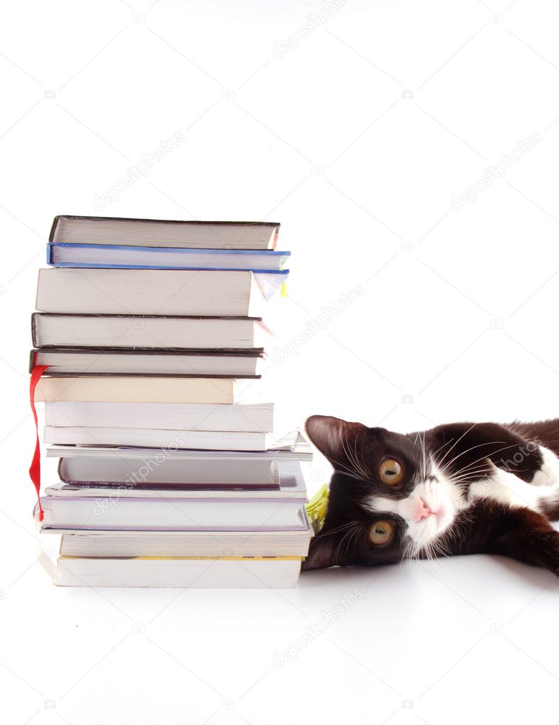 Cat with books