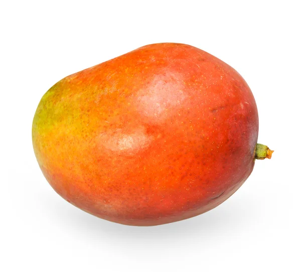 Mango - a tropical fruit — Stock Photo, Image