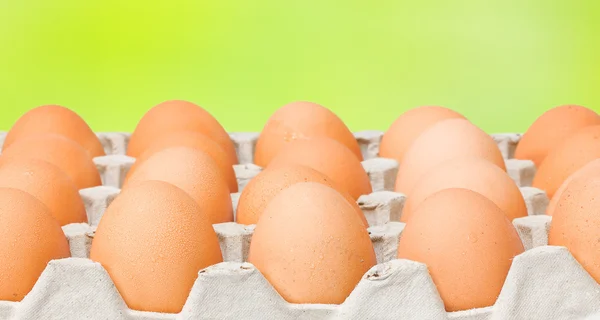 Raw diet eggs