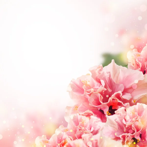 Flower Background  29 png images Floral Backgrounds A4 1240х1753 px