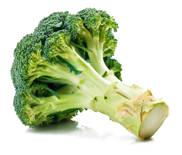 Grønn brokkoli – stockfoto