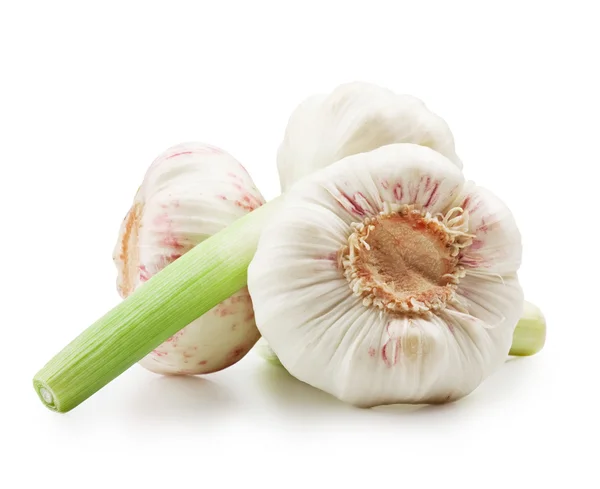 Garlics isolerade — Stockfoto